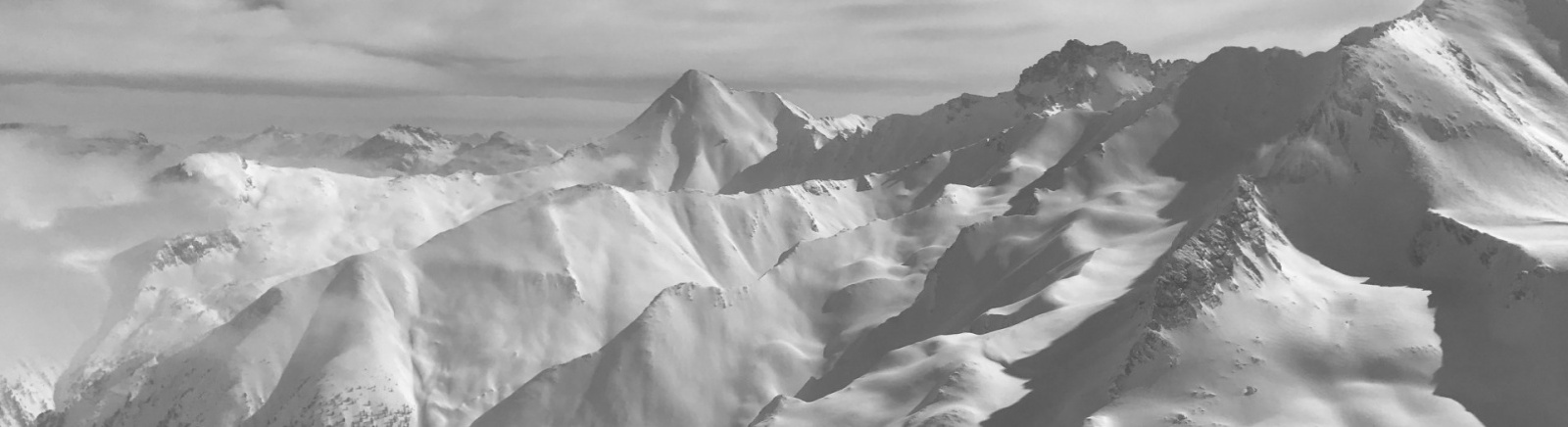 AMBEAT II. Realitní podfond, Třída D