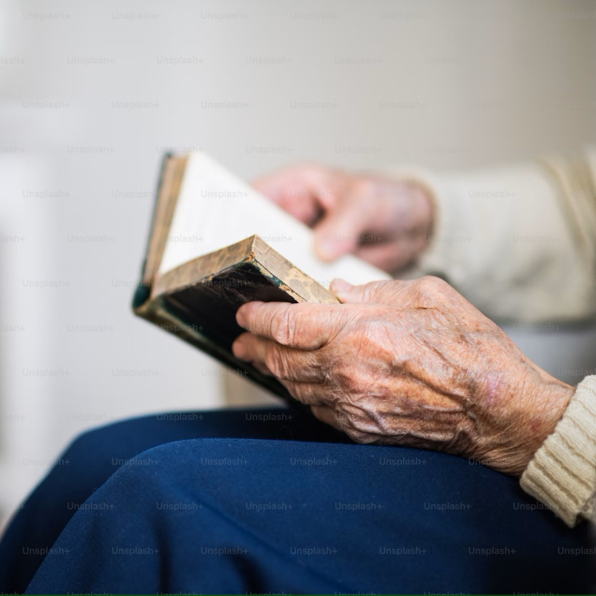 AMBEAT II. Realitní podfond, Třída D